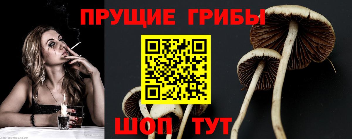 Галлюциногенные грибы прущие грибы Заволжье